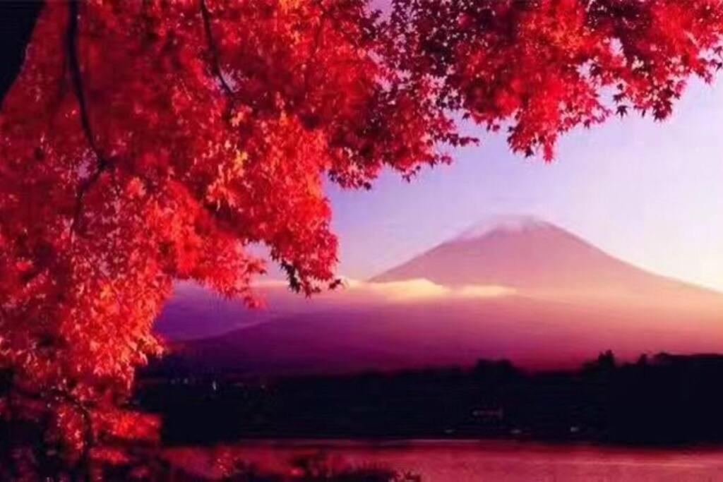 Away From Noise,View Fuji Mt In The Designer House Villa Yamanakako Luaran gambar